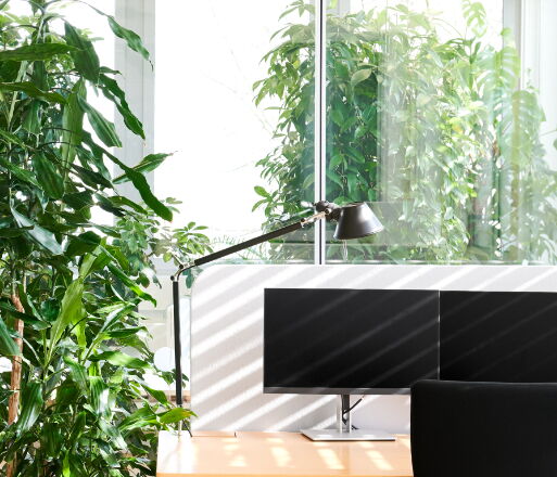 Bürowelten B204 Roche