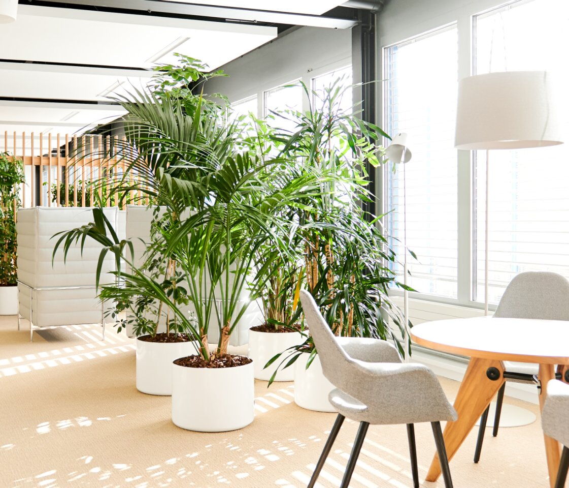 Bürowelten B204 Roche