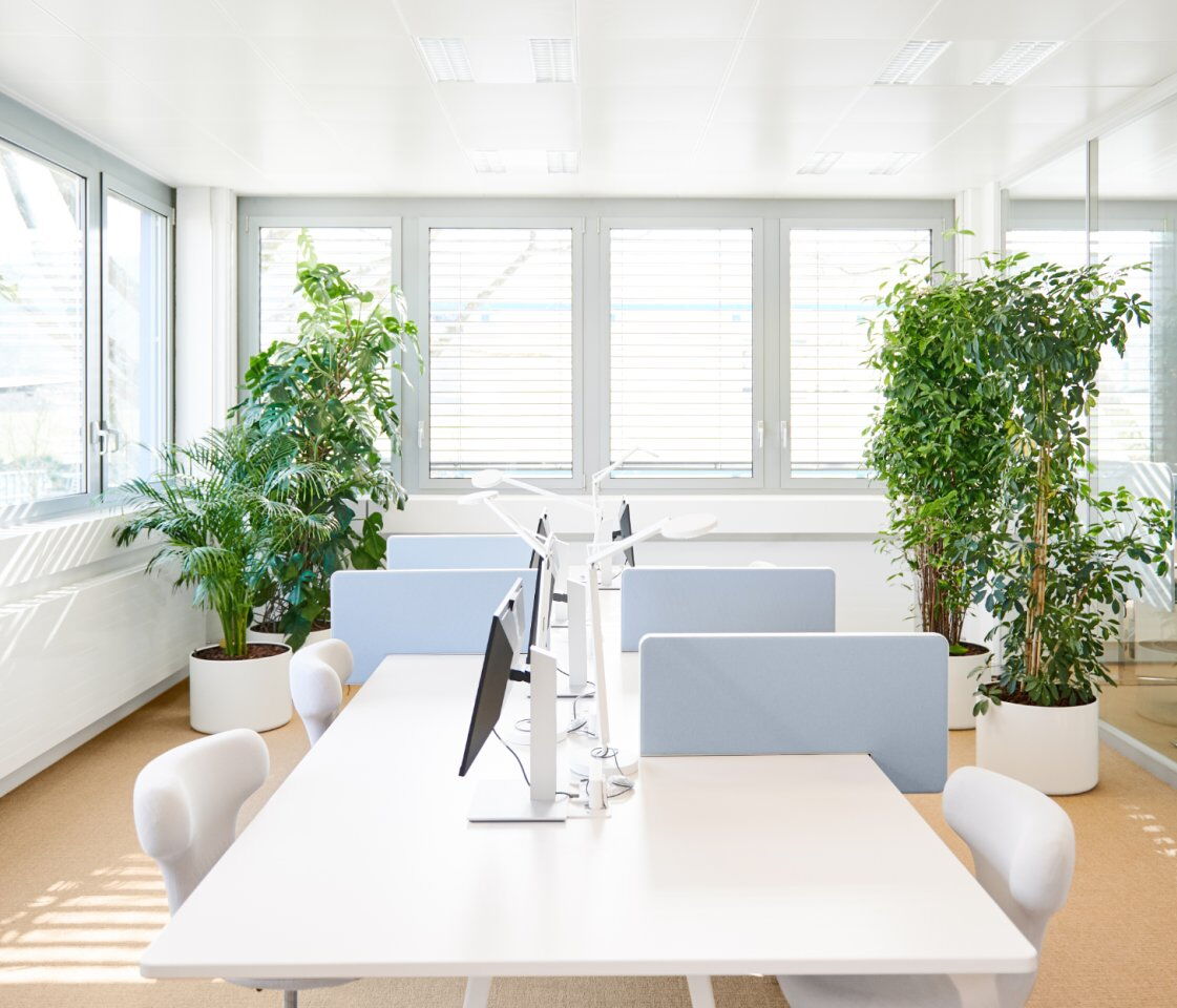 Bürowelten B204 Roche