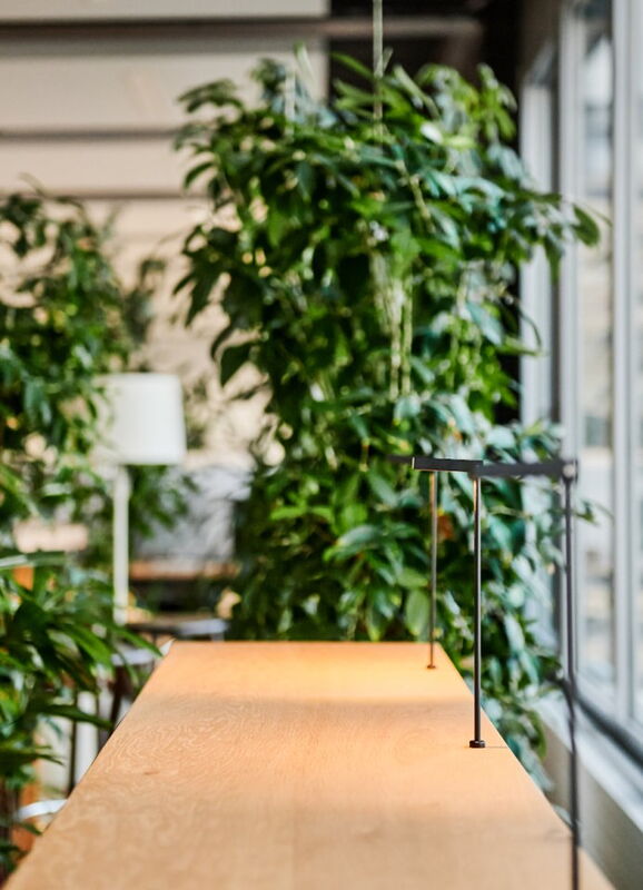 Bürowelten B204 Roche