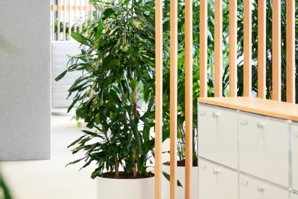 Bürowelten B204 Roche