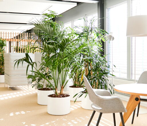 Bürowelten B204 Roche