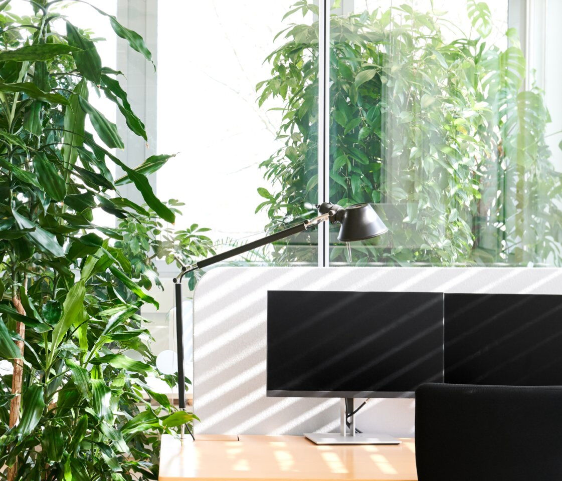 Bürowelten B204 Roche